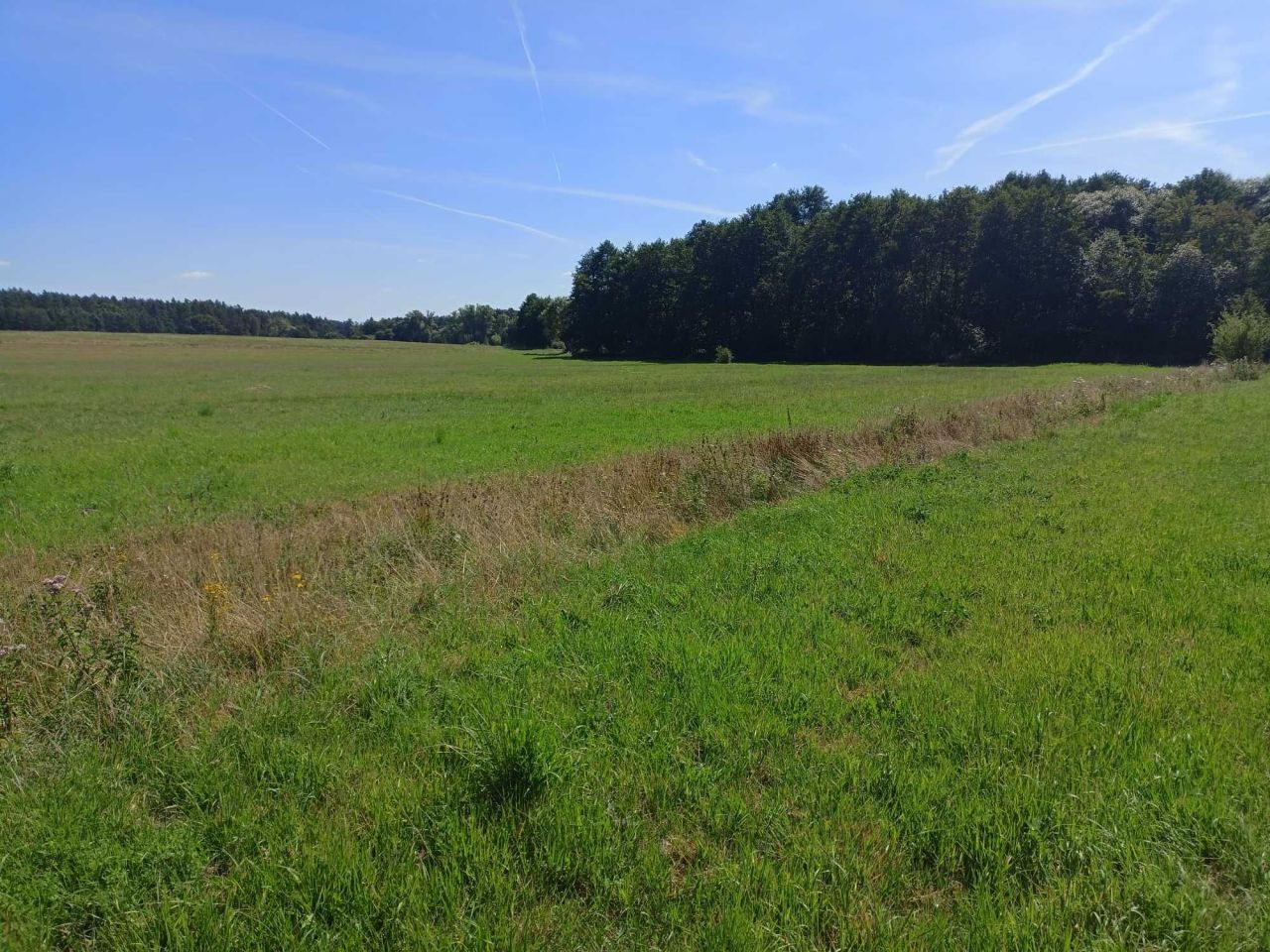 Działka budowlana Mechowo. Zdjęcie 4