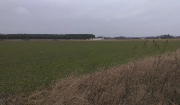 Działka budowlana Pawłowice, ul. Pawłowicka