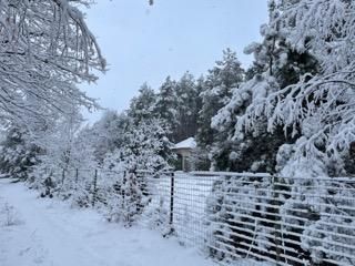 Działka budowlana Piaski. Zdjęcie 7