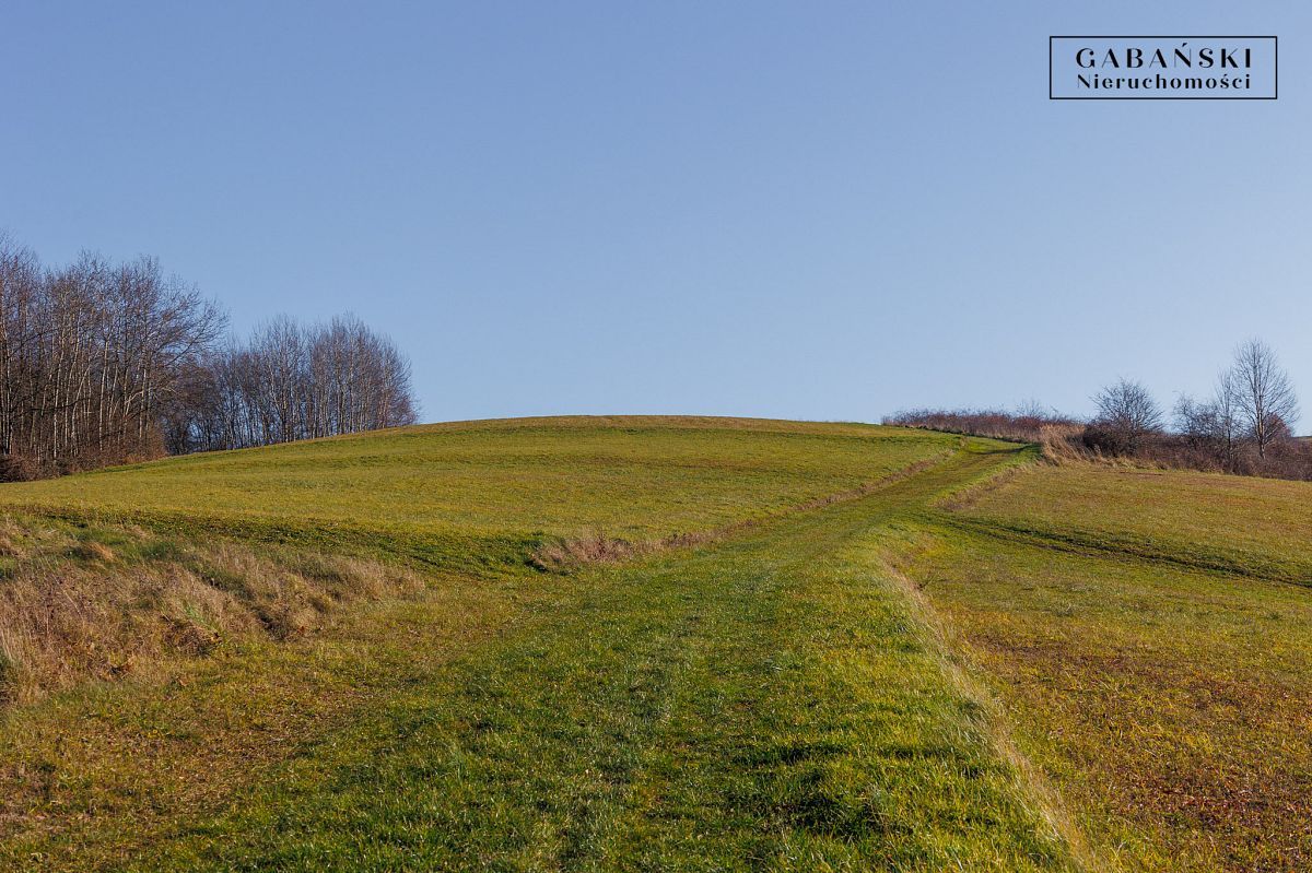 Działka budowlana Zborowice. Zdjęcie 15