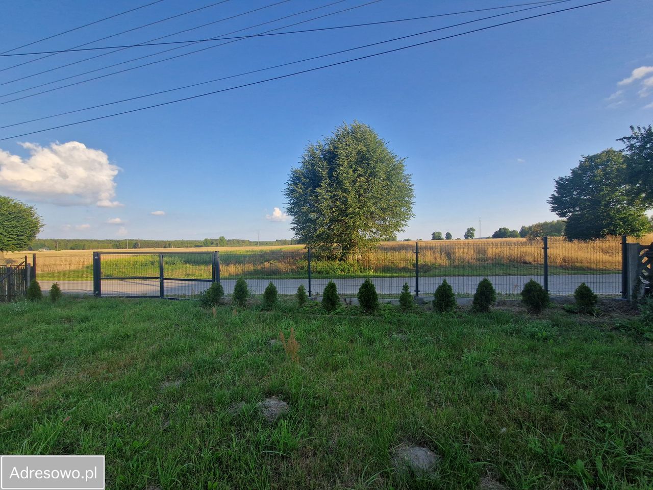 Działka siedliskowa Nowinki. Zdjęcie 9