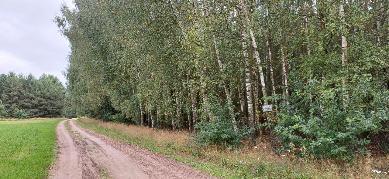 Działka leśna Stare Lipki. Zdjęcie 2