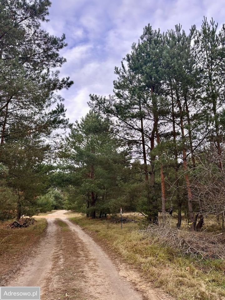 Działka budowlana Radzyny. Zdjęcie 5