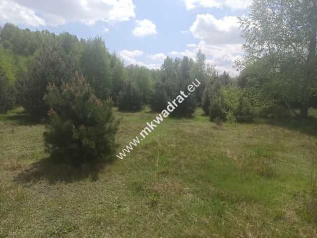 Działka budowlana Kuklówka Radziejowicka. Zdjęcie 7