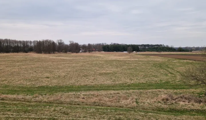 Działka rolna Brody