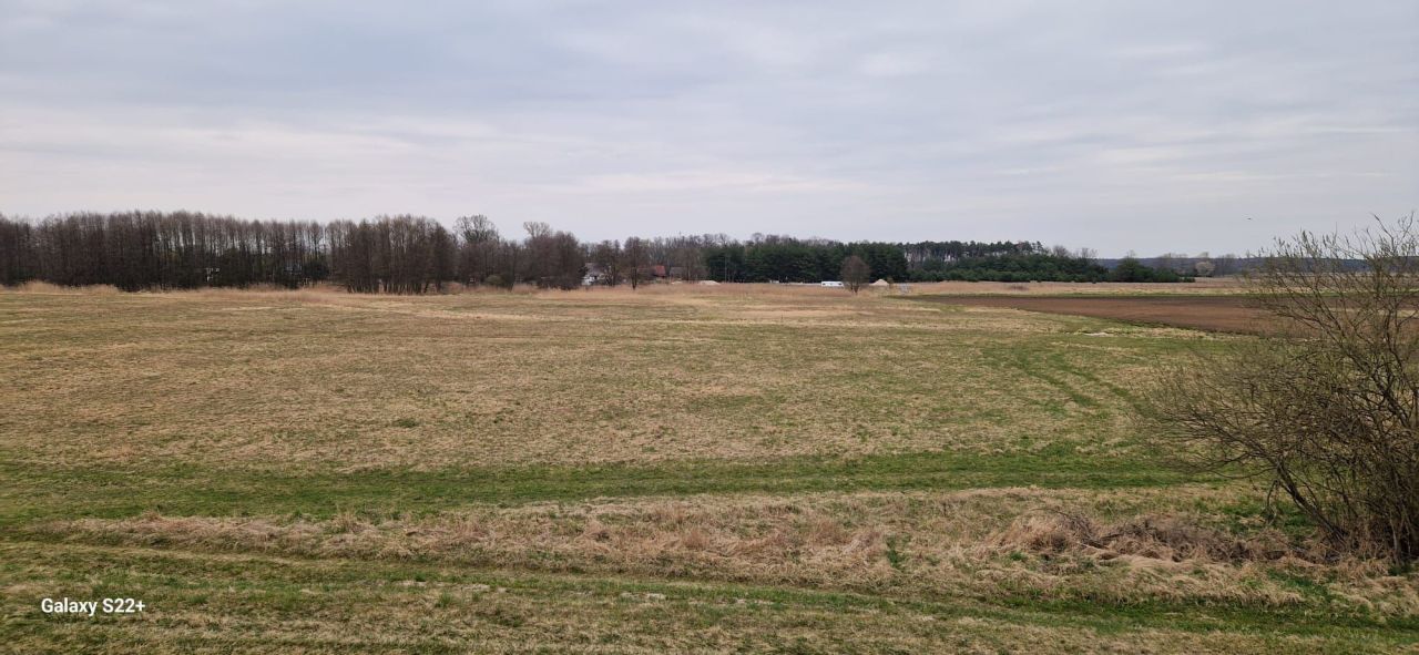 Działka rolna Brody. Zdjęcie 1