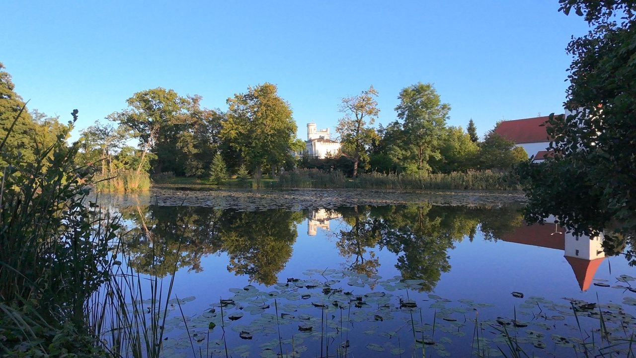 Działka rolno-budowlana Mrozów, ul. Spokojna. Zdjęcie 3