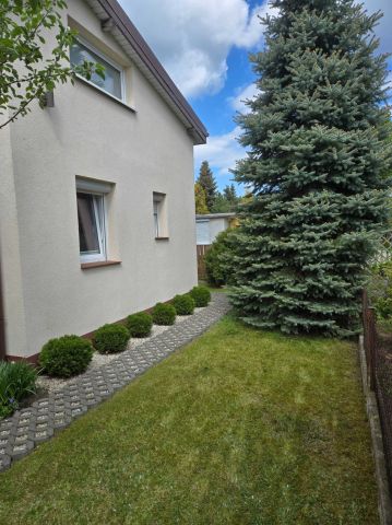 Działka rod Żurczyn. Zdjęcie 1