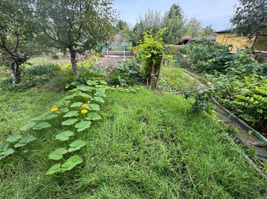 Działka rod Gdynia Mały Kack, ul. Przemyska. Zdjęcie 3