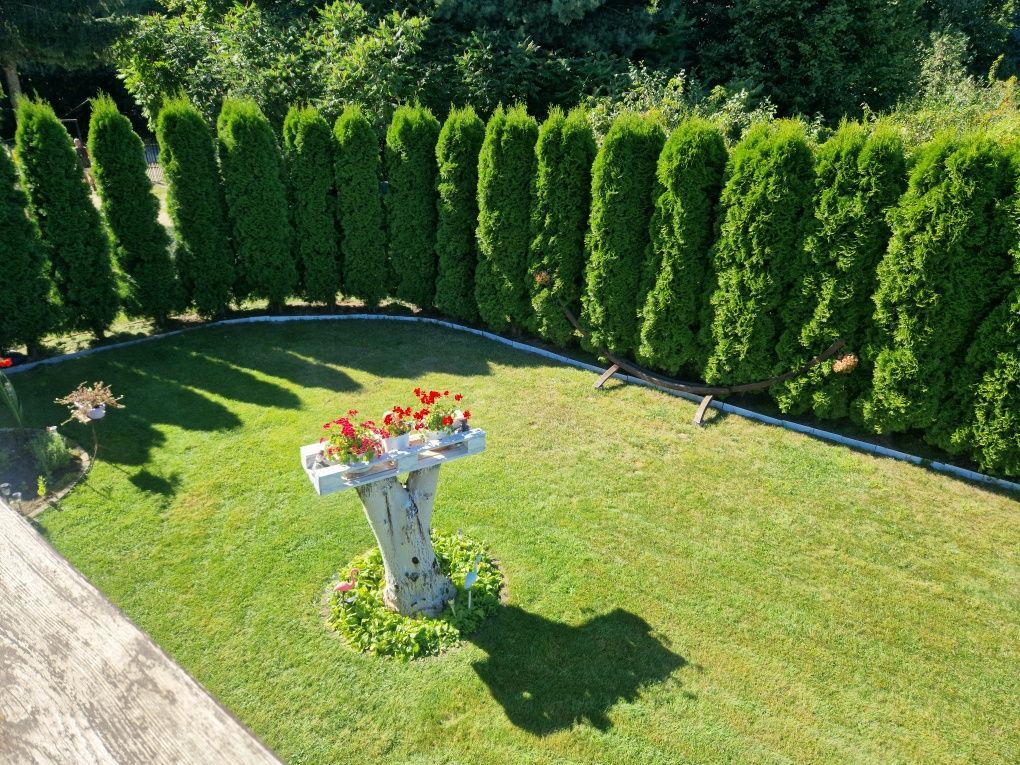 Działka rod Wadąg. Zdjęcie 3