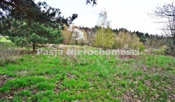 Działka rolna Płock Borowiczki-Parcele, ul. Wilcza