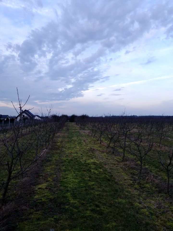 Działka budowlana Tryszczyn, ul. Sadownicza. Zdjęcie 3