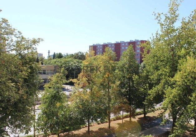 Mieszkanie 2-pokojowe Warszawa Ochota, ul. Grójecka. Zdjęcie 4