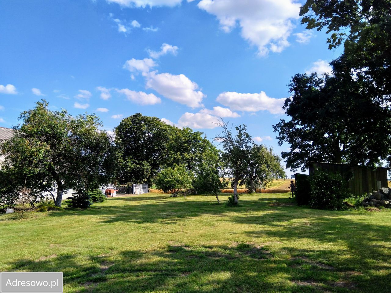 siedlisko Taszewskie Pole. Zdjęcie 15