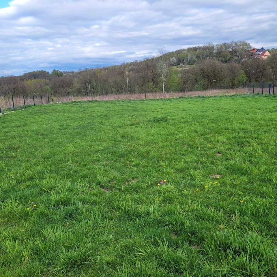 Działka budowlana Mogilany. Zdjęcie 5