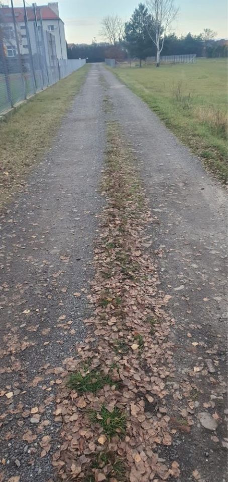 Działka budowlana Garłów. Zdjęcie 7