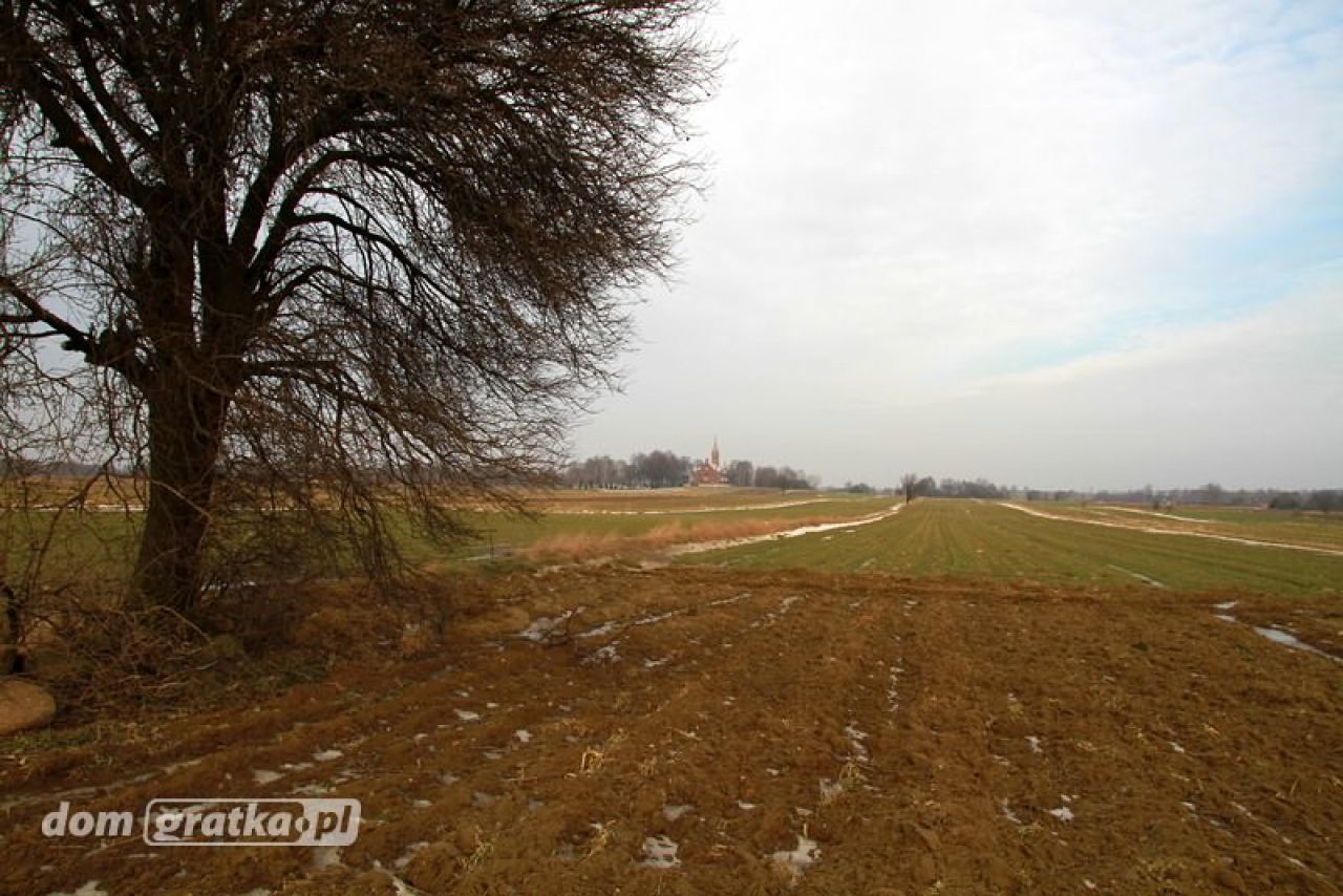 Działka rolno-budowlana Dobra-Nowiny, ul. Marii Piotrowiczowej. Zdjęcie 6