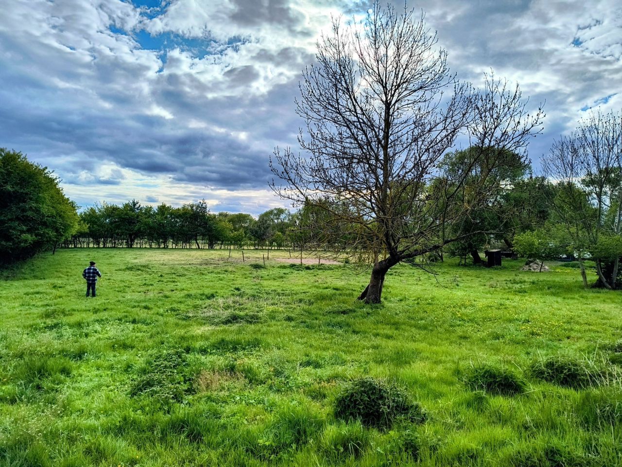 Działka budowlana Zabielne. Zdjęcie 4