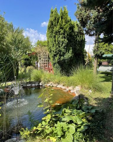 Działka rekreacyjna Stargard, ul. Michała Drzymały. Zdjęcie 1