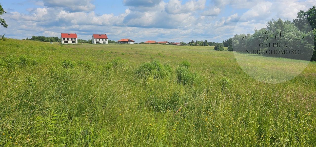 Działka rolna Ługwałd. Zdjęcie 3