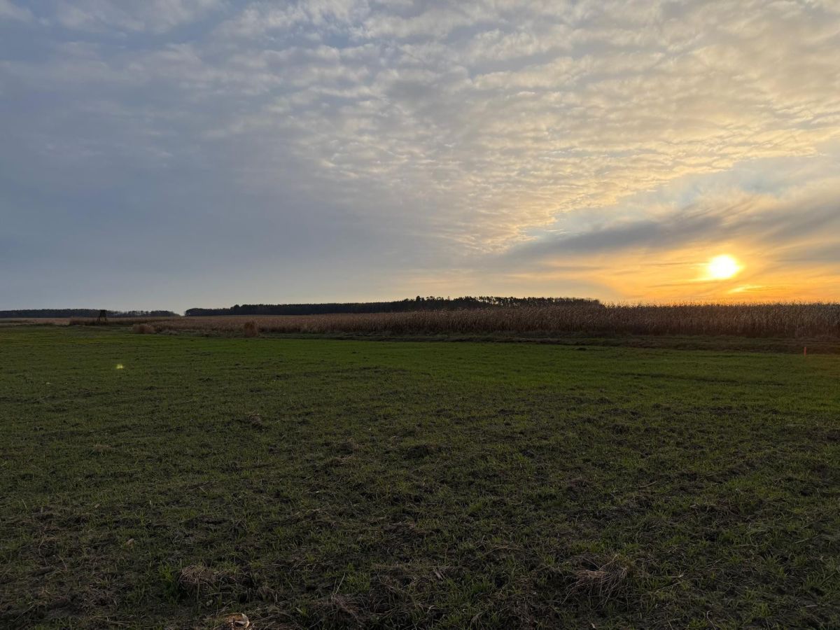 Działka rolna Oleśniczka. Zdjęcie 6