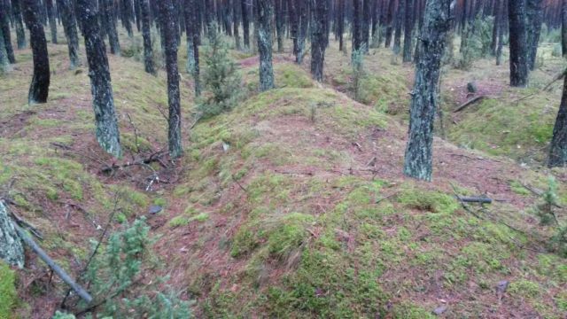Działka leśna Siemiatycze-Stacja, Droga krajowa 19. Zdjęcie 6