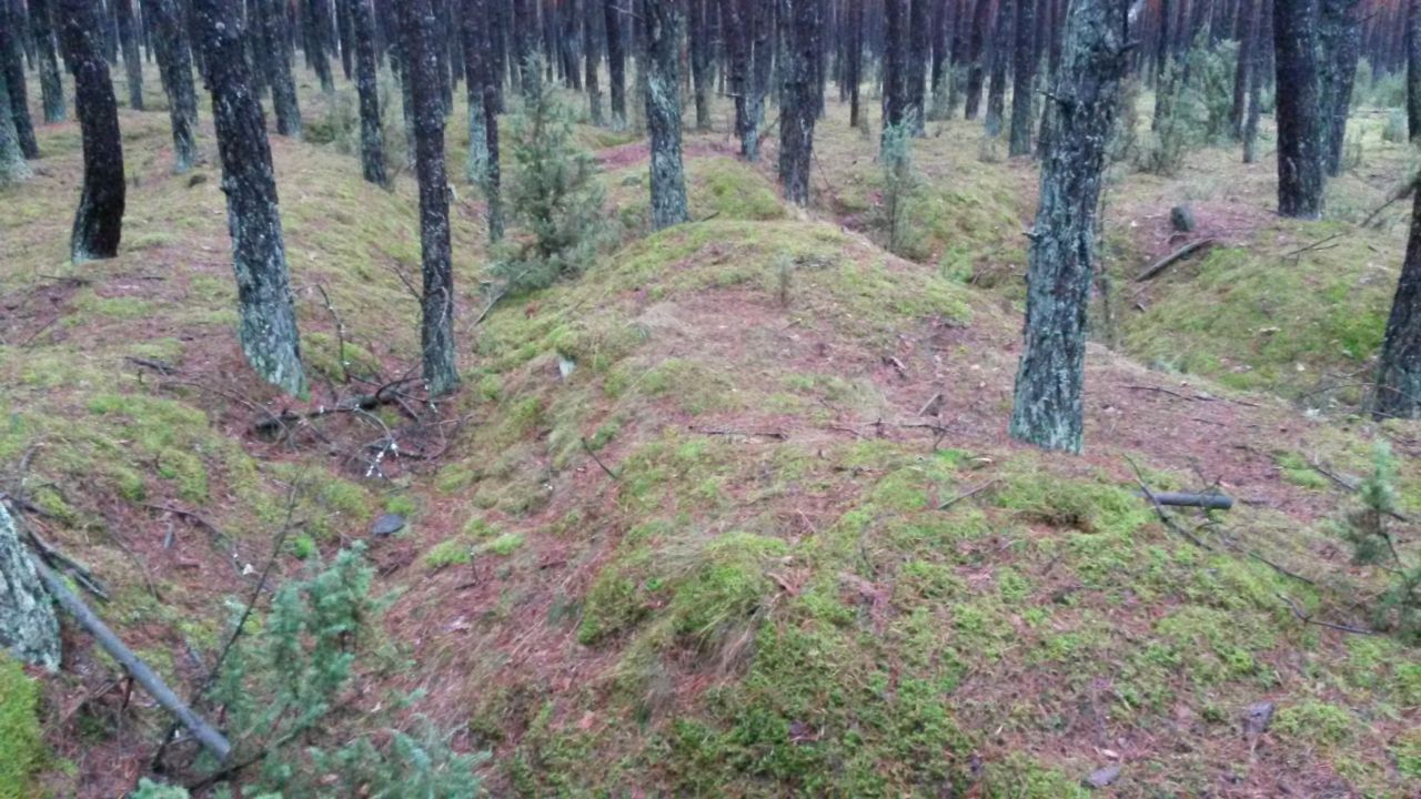 Działka leśna Siemiatycze-Stacja, Droga krajowa 19. Zdjęcie 6