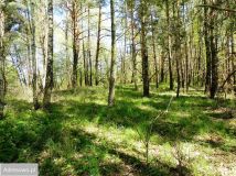 Działka rolno-budowlana Chrostkowo. Zdjęcie 3