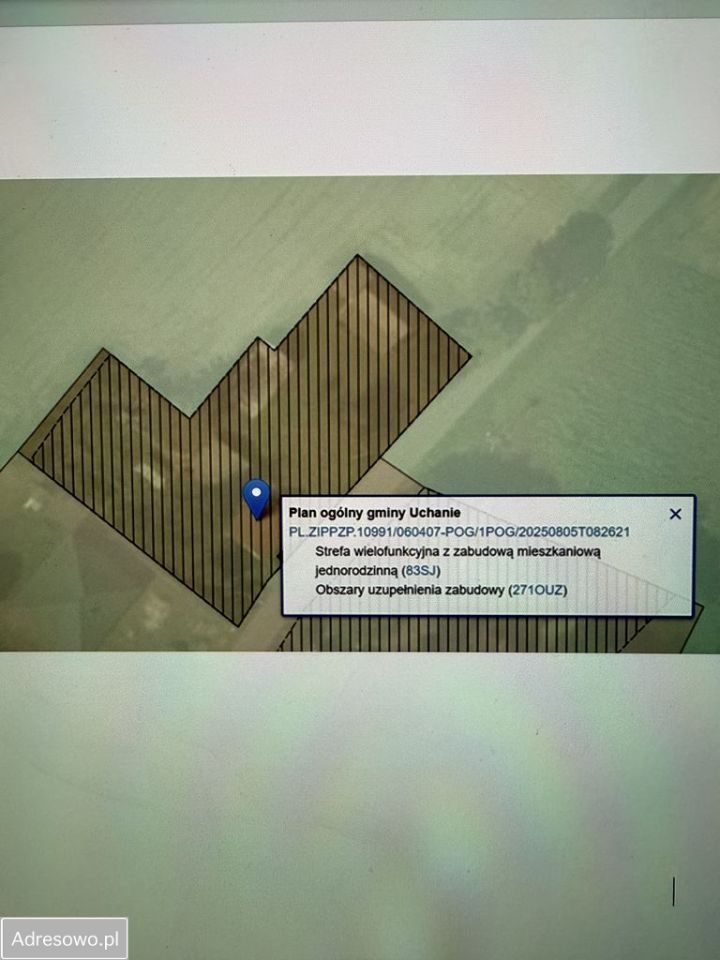 Działka siedliskowa Mojsławice. Zdjęcie 4