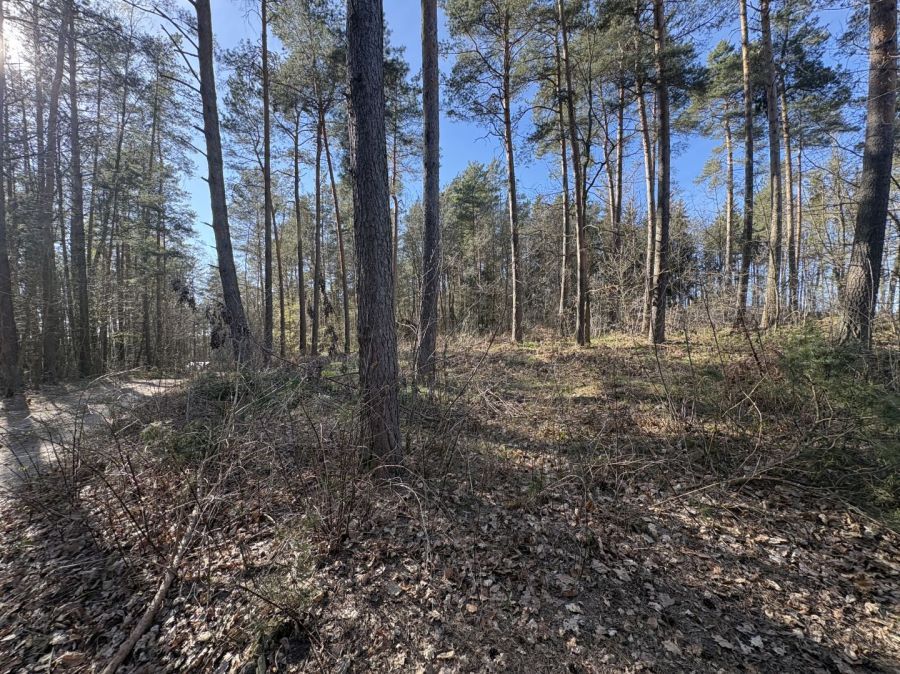 Działka leśna Żukowo. Zdjęcie 4