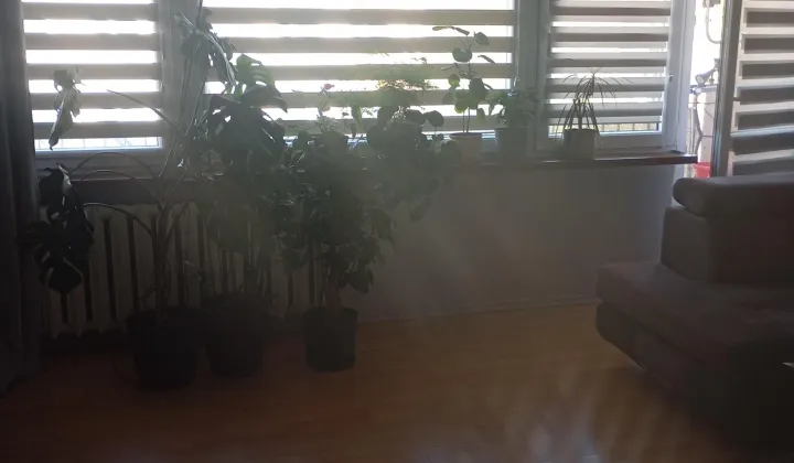 Mieszkanie 3-pokojowe Kleszczele, ul. Akacjowa