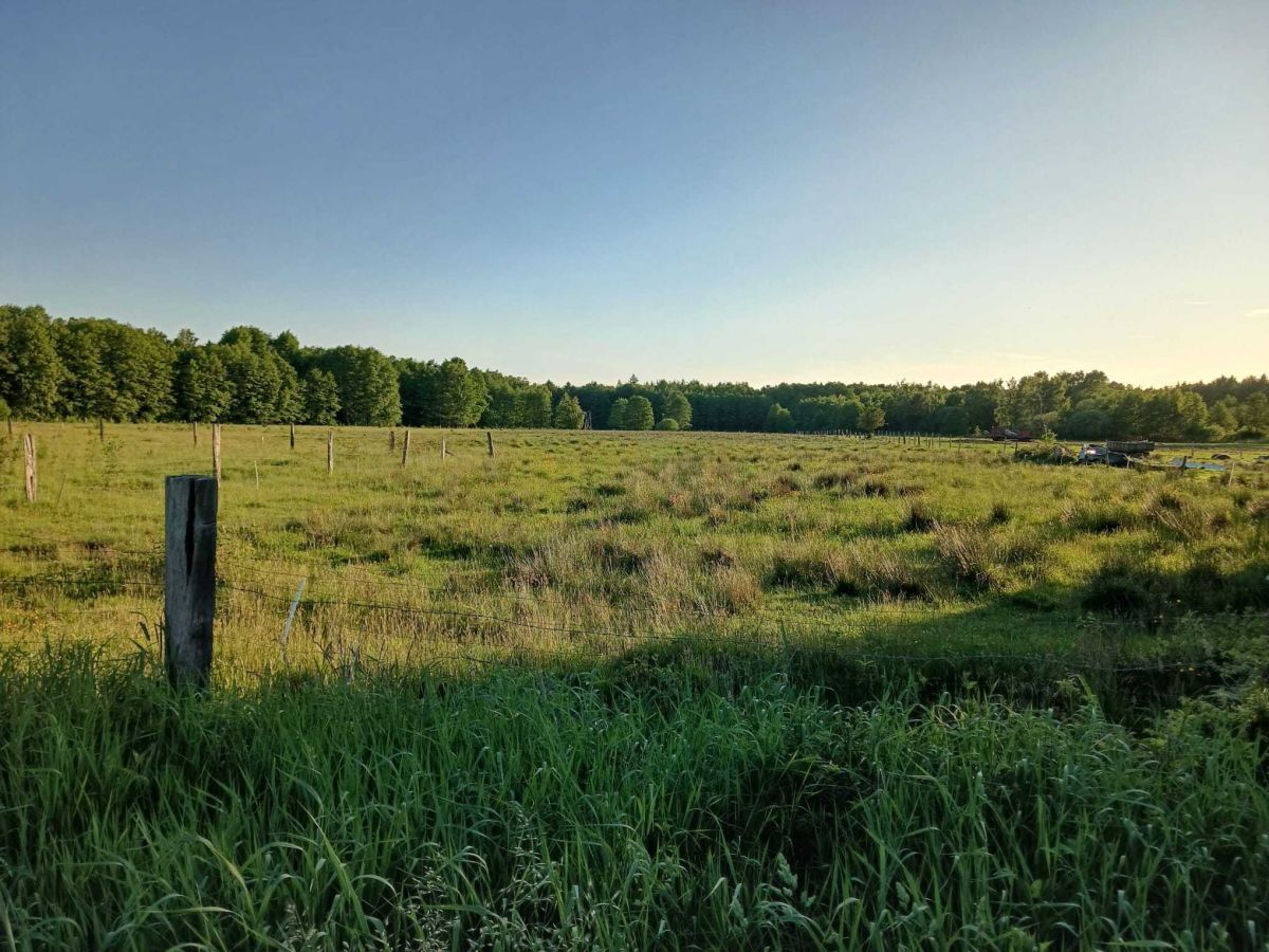 Działka budowlana Sińczyca, Sińczyca. Zdjęcie 1