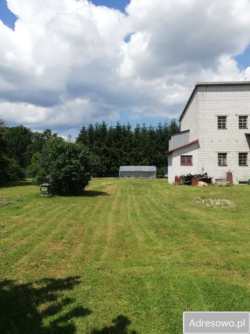 Działka siedliskowa Szyszków. Zdjęcie 8