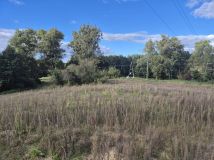 Działka siedliskowa Trzcin. Zdjęcie 1