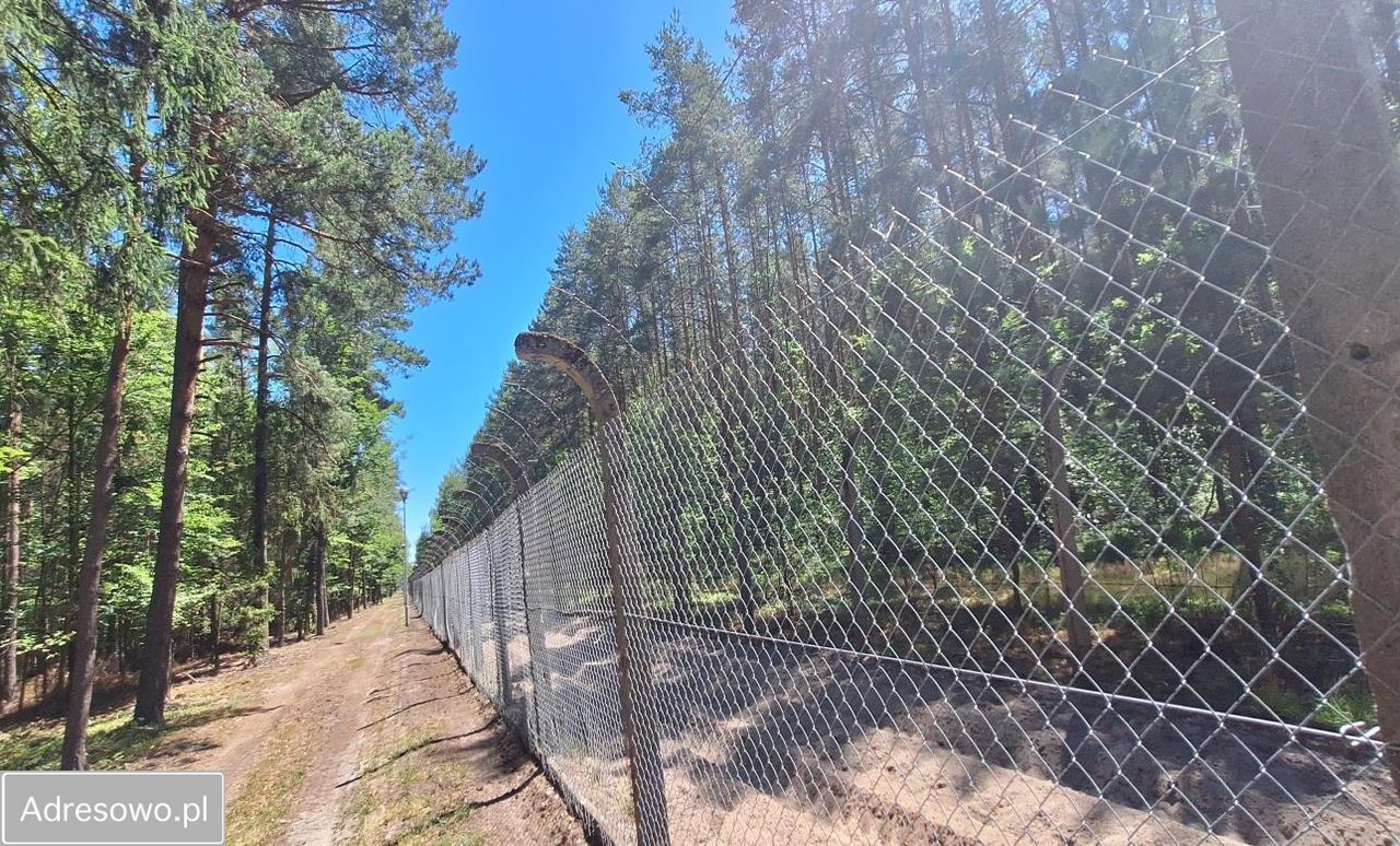 Hala/magazyn Nowa Sarzyna. Zdjęcie 7