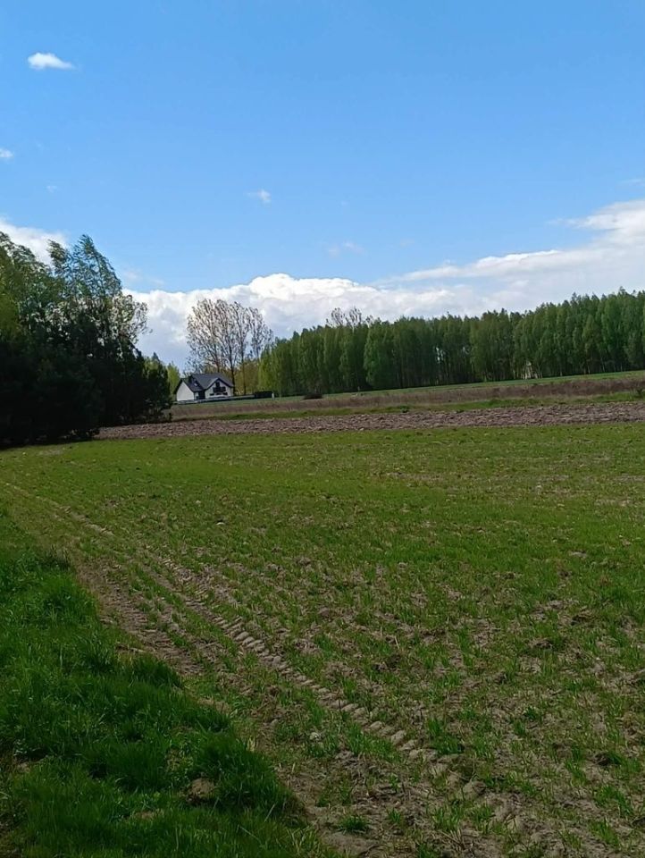 Działka inwestycyjna Wygnanów. Zdjęcie 8