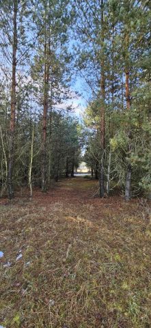 Działka budowlana Drogoszowice. Zdjęcie 3