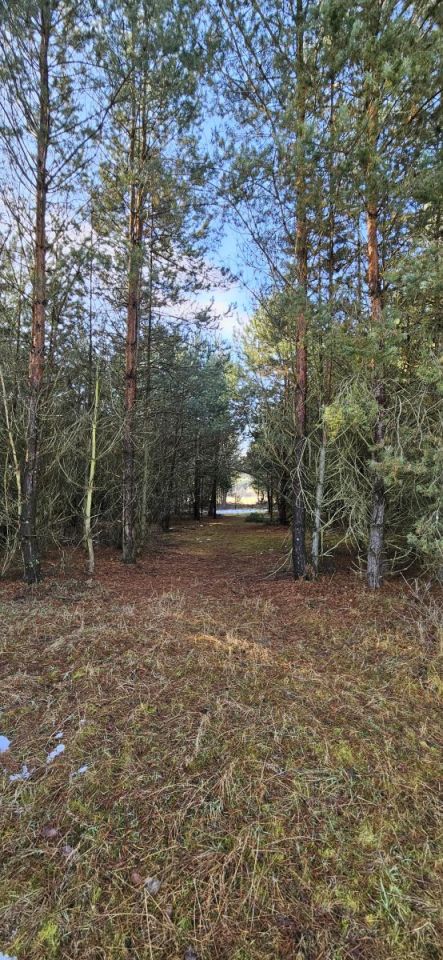 Działka budowlana Drogoszowice. Zdjęcie 3