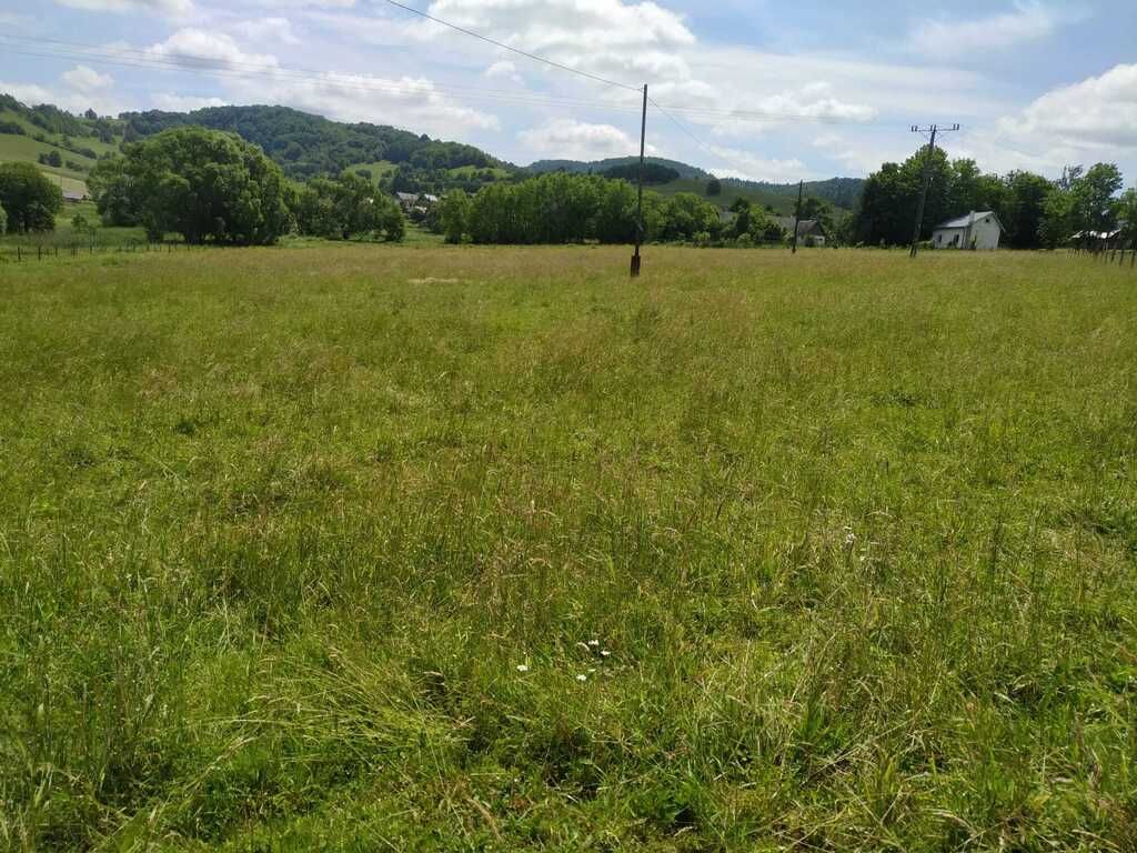 Działka budowlana Terka. Zdjęcie 2