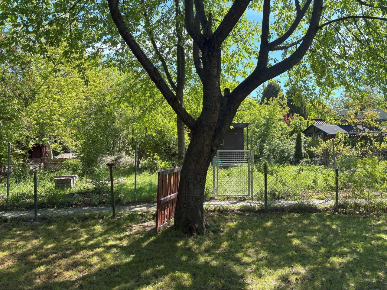 Działka rod Warszawa Mokotów, ul. Bartycka. Zdjęcie 3