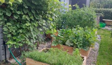 Działka rod Nowe Iganie