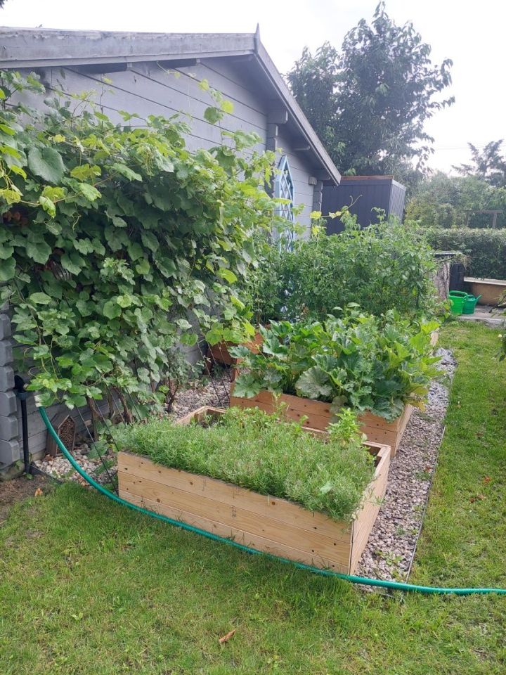 Działka rod Nowe Iganie. Zdjęcie 2