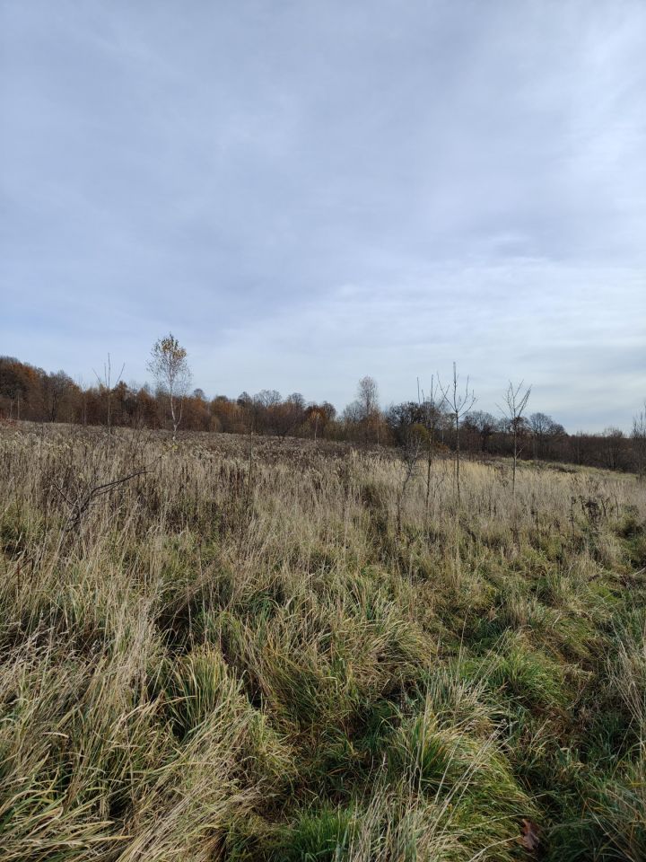 Działka rolna Ubocze. Zdjęcie 5