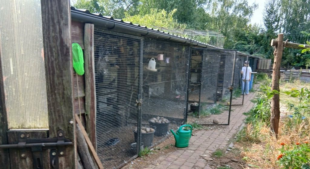 dom wolnostojący, 4 pokoje Krubki-Górki. Zdjęcie 6