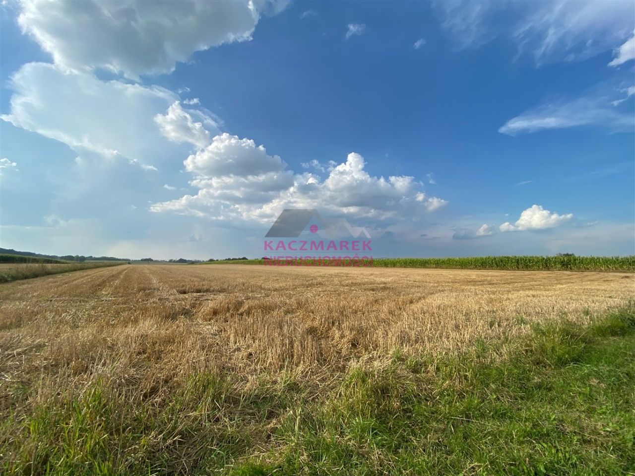 Działka budowlana Pawłowice, ul. Spacerowa. Zdjęcie 3