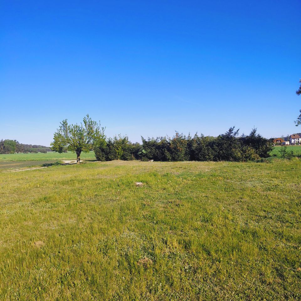 Działka budowlana Pniewo-Czeruchy. Zdjęcie 2