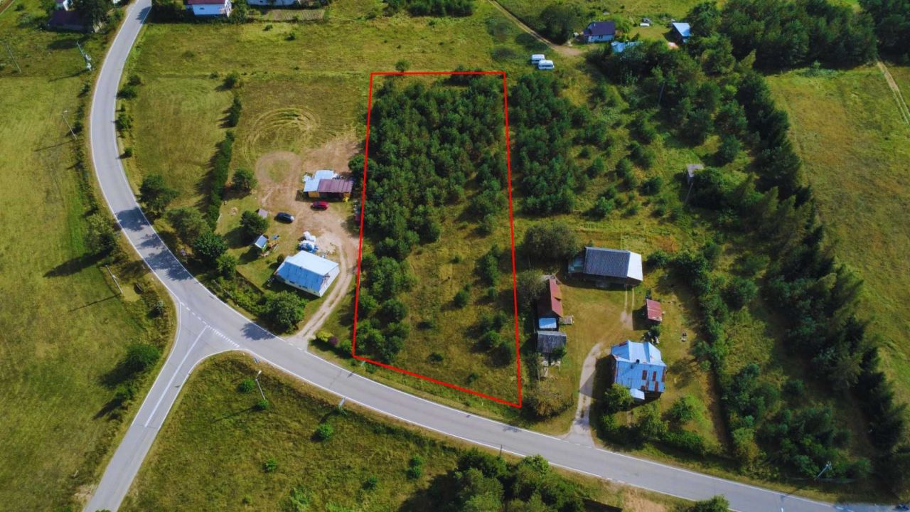 Działka rolno-budowlana Gorczyca. Zdjęcie 2