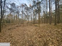 Działka budowlana Zalesie Górne, ul. Wiekowej Sosny. Zdjęcie 2