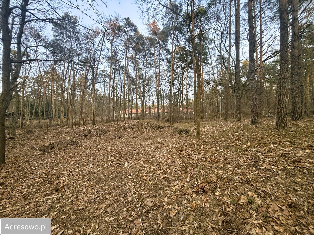 Działka budowlana Zalesie Górne, ul. Wiekowej Sosny. Zdjęcie 3