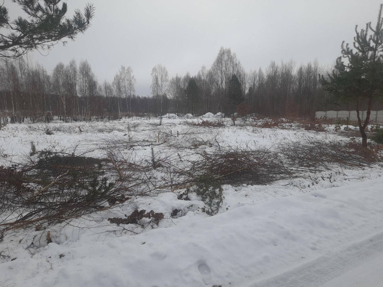 Działka budowlana Samsonów-Podlesie. Zdjęcie 2